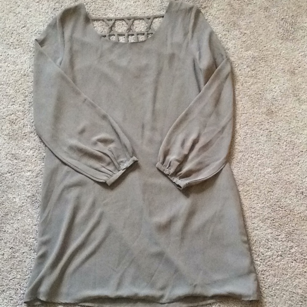 Naked Zebra Taupe Shift Dress